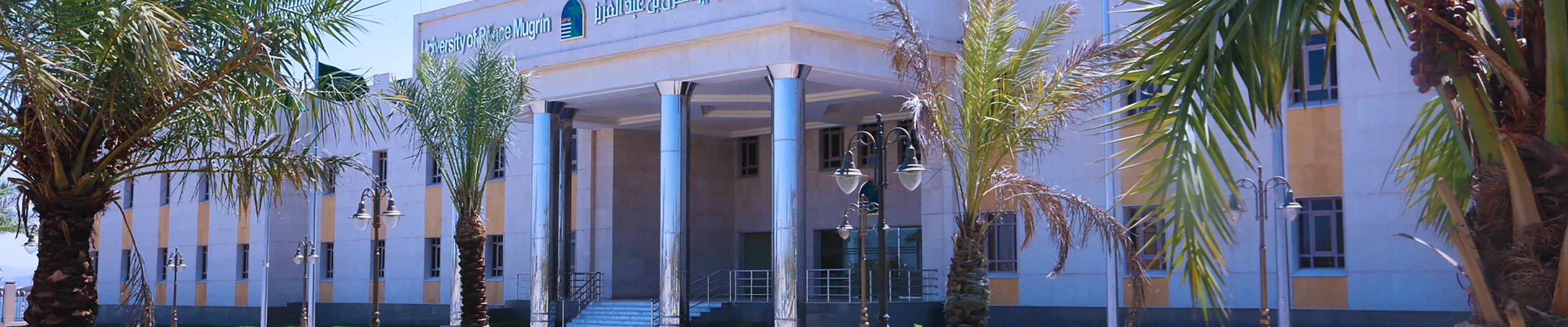 Artificial Inteligance